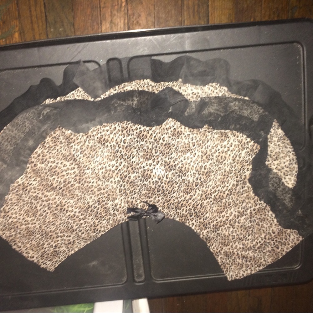 Lingerie panties “Skirt” 2x NWT adorable sheer